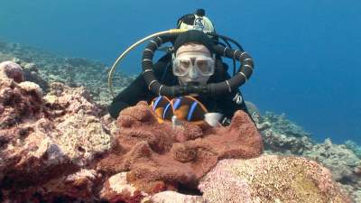 30-anemonefish-nemo.jpg