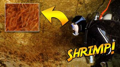 Azores-Santa-Maria-thumb1