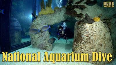 National-Aquarium-640.jpg