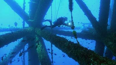 Oil-platform-diving-640.jpg