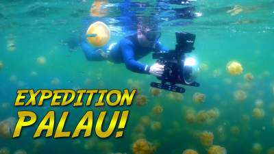 Palau Documentary