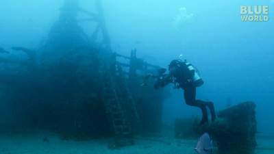 artificial-reefs-640.jpg