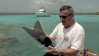 extra-fins.jpg