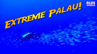 palau-currents-640.jpg