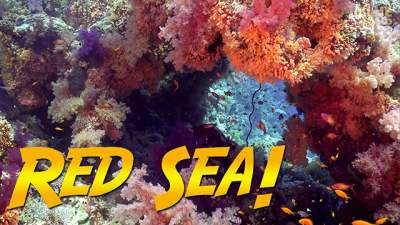 red-sea-640.jpg